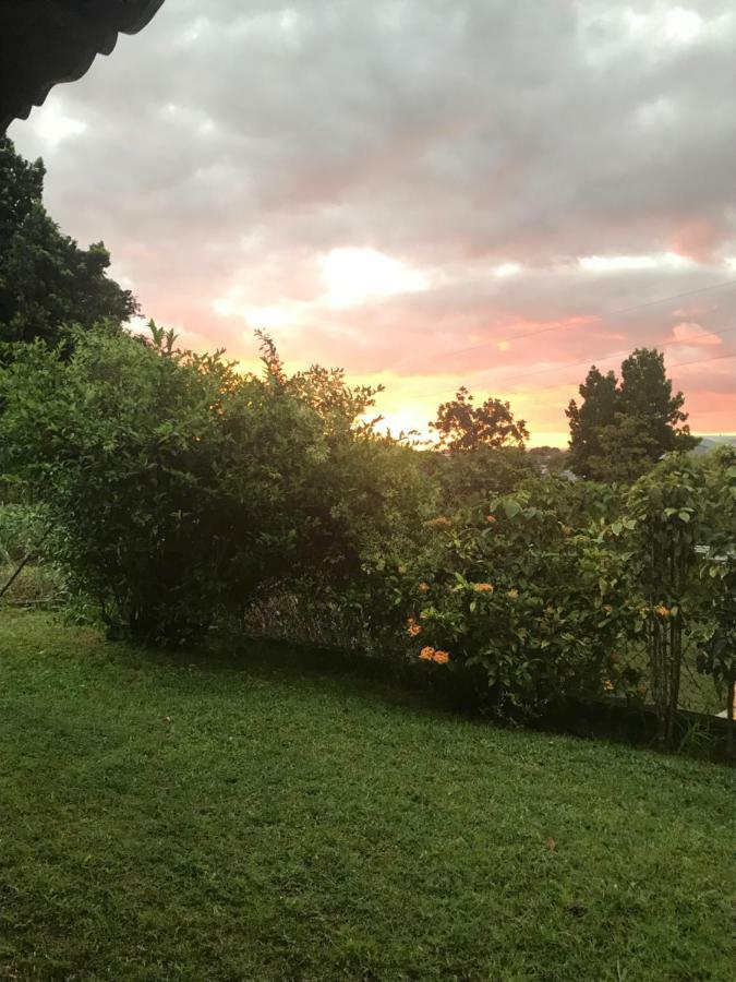 Charmant Bungalow Au Coeur De L'Ile Baie-Mahault Luaran gambar